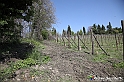 VBS_7432 - PressTour educational dedicato ai vini del Pinerolese e all’olio prodotto sulla collina di Pinerolo